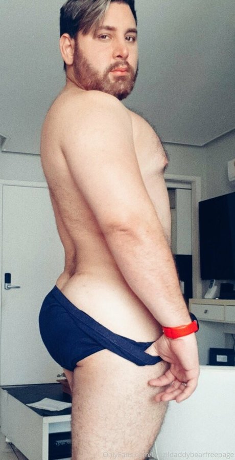 Brazildaddybearfreepage