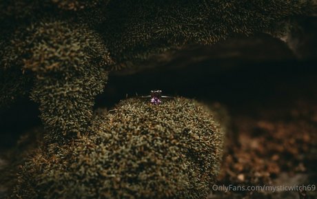 Mysticwitch69