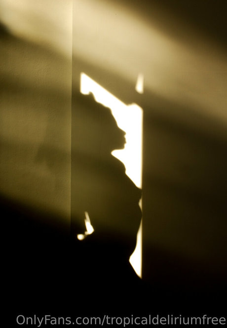 Tropicaldeliriumfree