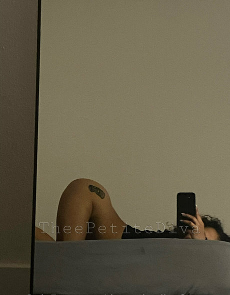 Thepetitedivafreepage