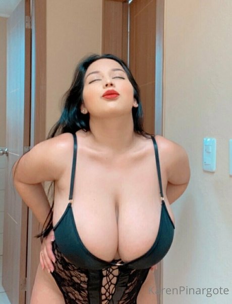 Karen Pinargote Torres