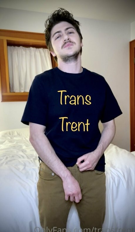 Transtrentfree