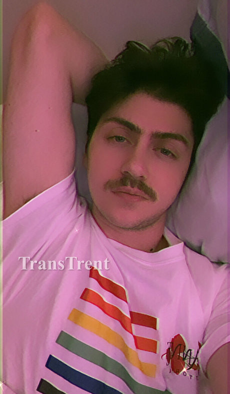 Transtrentfree