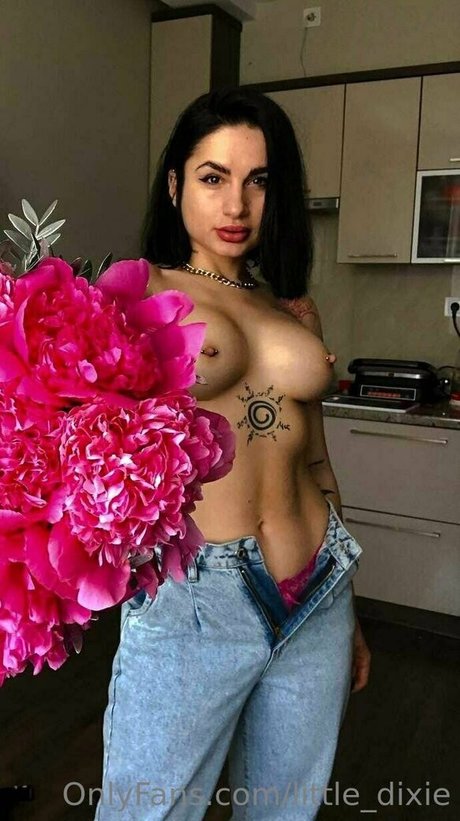 Littledixie