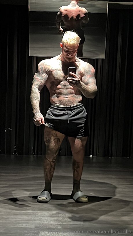 Therealvanillagorilla