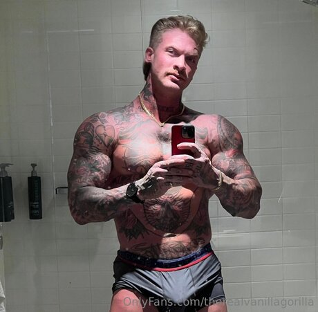 Therealvanillagorilla