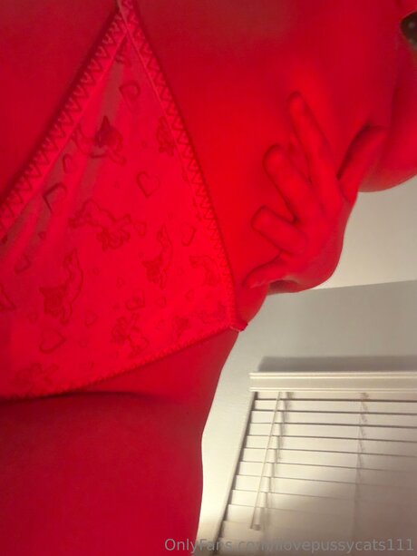Ilovepussycats111