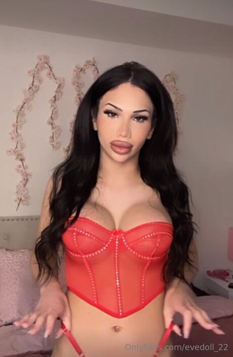 Evedoll 22