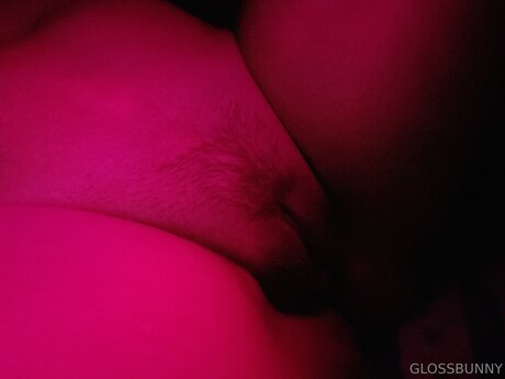 Glossbunny