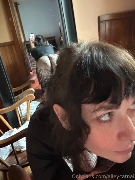 Alleycatnai