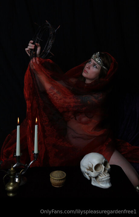 Lilyspleasuregardenfree1