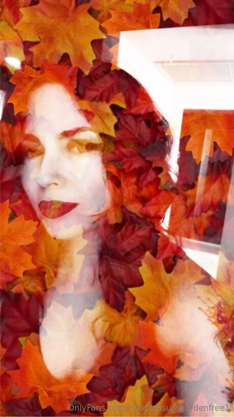 Lilyspleasuregardenfree1