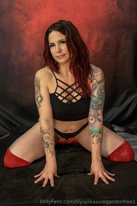 Lilyspleasuregardenfree1