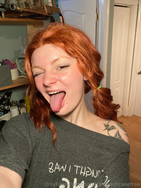 Thatlittlecarrotcakefree