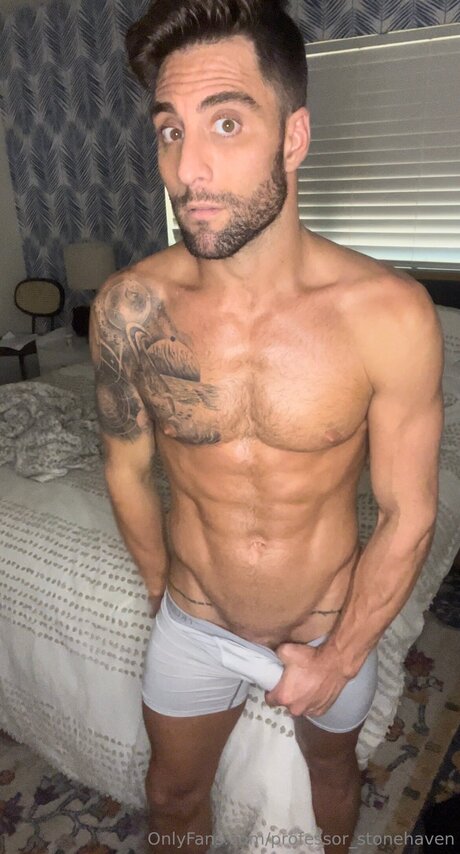 Professor Stonehaven