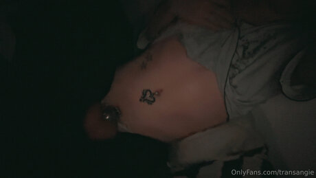 Transangie