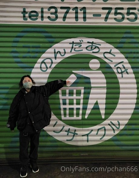 Pchan666