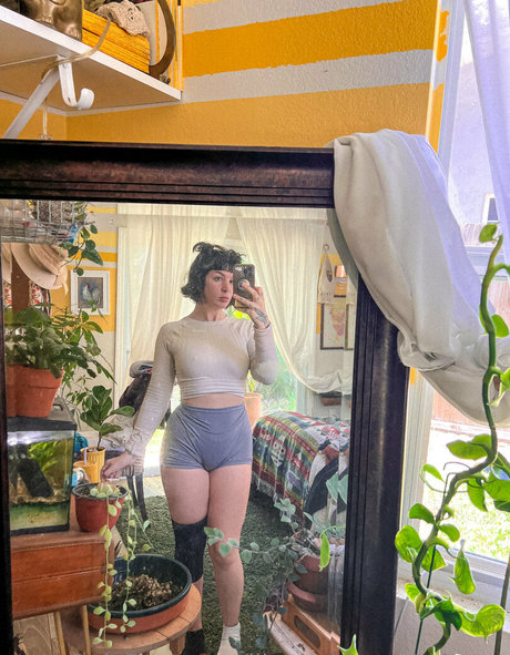 Likethebugortheletter