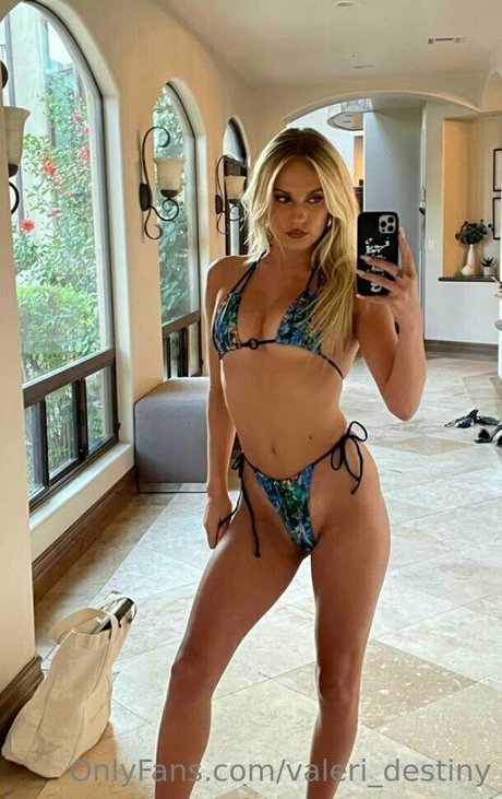 Valeridestiny