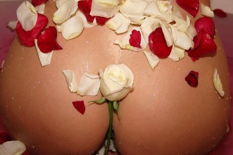 Southerncharms Reese