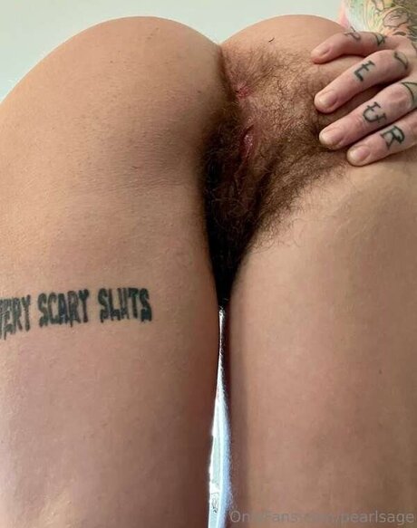 Pearl Sage  Hairy Queen