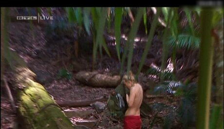 Ich Bin Ein Star  Holt Mich Hier Raus