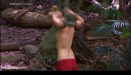 Ich Bin Ein Star  Holt Mich Hier Raus