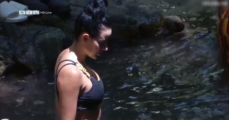 Ich Bin Ein Star  Holt Mich Hier Raus