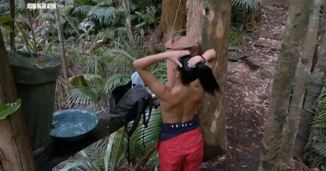 Ich Bin Ein Star  Holt Mich Hier Raus