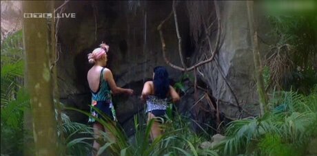 Ich Bin Ein Star  Holt Mich Hier Raus