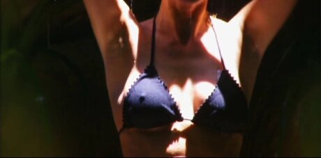 Ich Bin Ein Star  Holt Mich Hier Raus