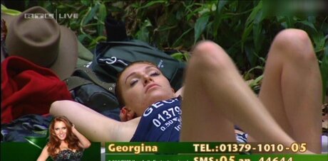 Ich Bin Ein Star  Holt Mich Hier Raus