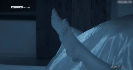 Ich Bin Ein Star  Holt Mich Hier Raus