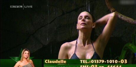 Ich Bin Ein Star  Holt Mich Hier Raus