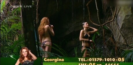 Ich Bin Ein Star  Holt Mich Hier Raus