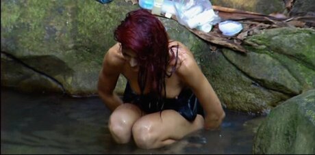 Ich Bin Ein Star  Holt Mich Hier Raus