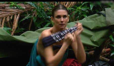 Ich Bin Ein Star  Holt Mich Hier Raus