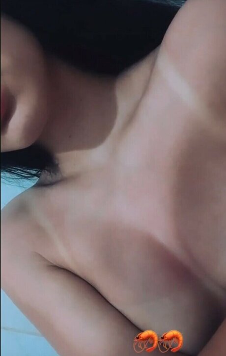 Garotas De Joinville