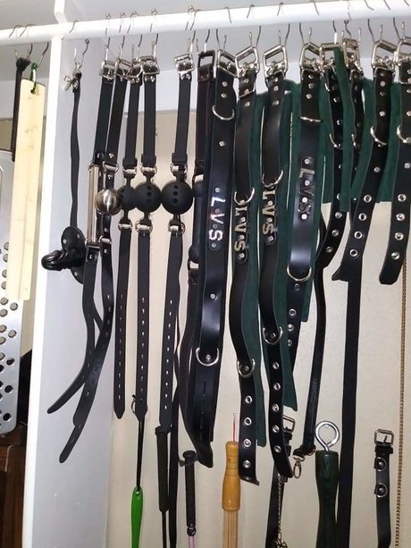 Lady Vanovia Serpentine