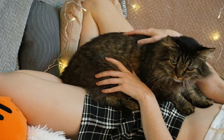 Brittrachelleupdates