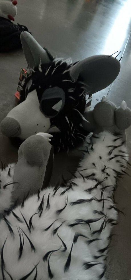 Brittrachelleupdates