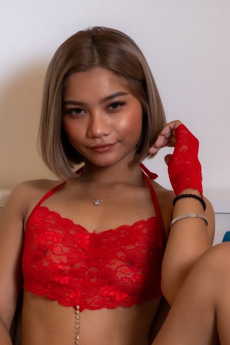 North Star  Free Page