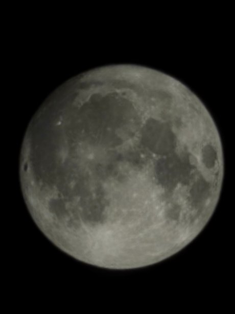 Nacktes geleaktes OnlyFans-Foto von Nivekogre