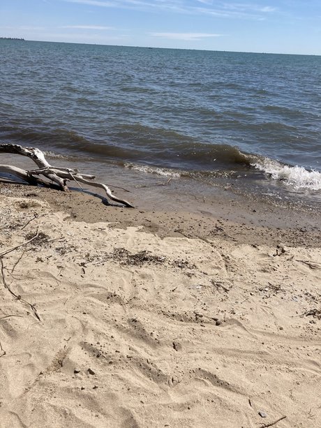 Princessglittersparkles