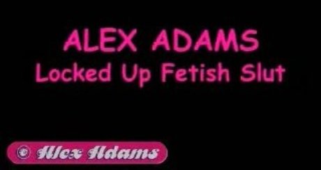 Babestation Studio66