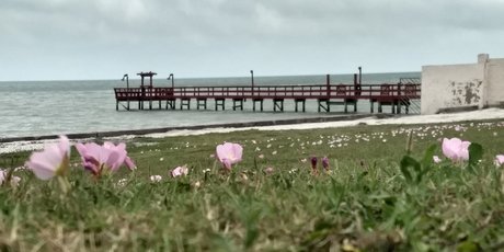 Nacktes geleaktes OnlyFans-Foto von Mistwolfs