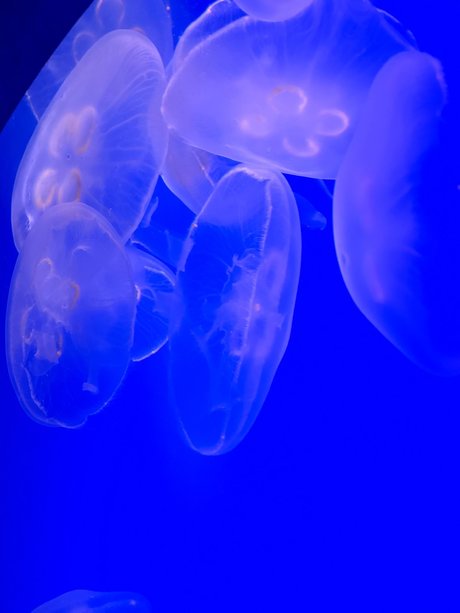 Nacktes geleaktes OnlyFans-Foto von Danielle