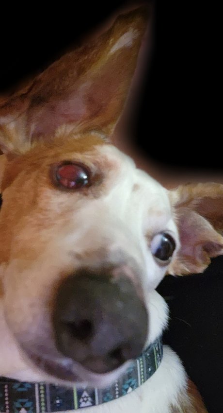 Nacktes geleaktes OnlyFans-Foto von Pidge