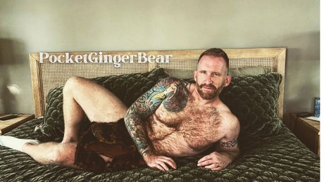 Pocketgingerbear