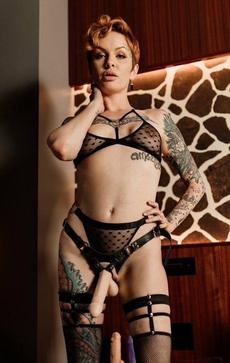 Thedannygoldexperience